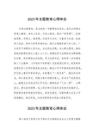 村党支部书记关于主题教育的学习感悟(五篇).docx