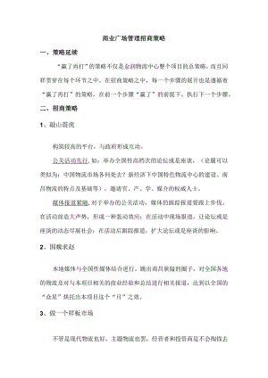 商业广场管理招商策略.docx