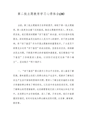 第二批主题教育学习心得体会（20）.docx