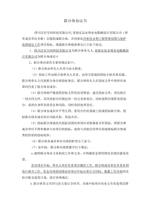 联合体协议书.docx