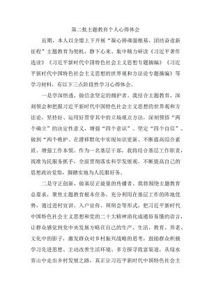 驻村书记学习第二批主题教育心得体会 （5份）.docx