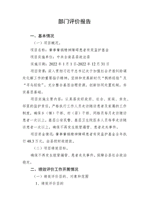 部门评价报告.docx