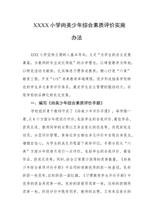 小学尚美少年综合素质评价实施办法.docx