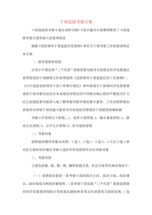 干部选拔考察方案.docx