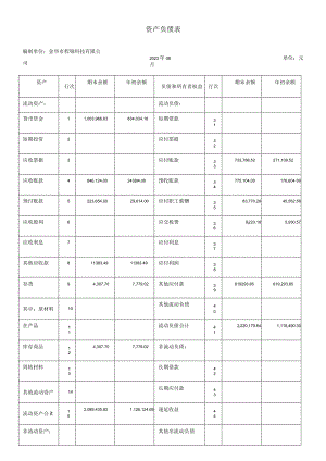 资产负债表.docx