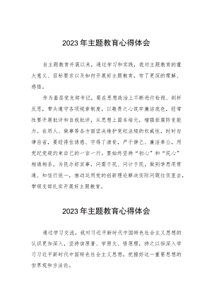 村党支部书记参加主题教育的心得体会(五篇).docx