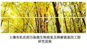 土壤有机农药污染微生物修复及降解菌基因工程研究进展.ppt.ppt