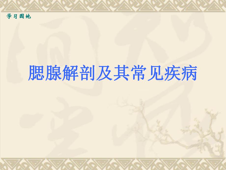 腮腺的解剖及常见疾病.ppt_第1页