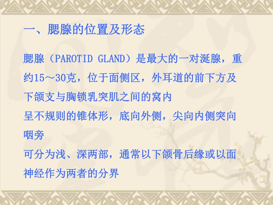 腮腺的解剖及常见疾病.ppt_第2页