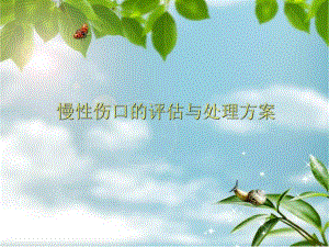 慢性伤口的评估与处理方案.ppt
