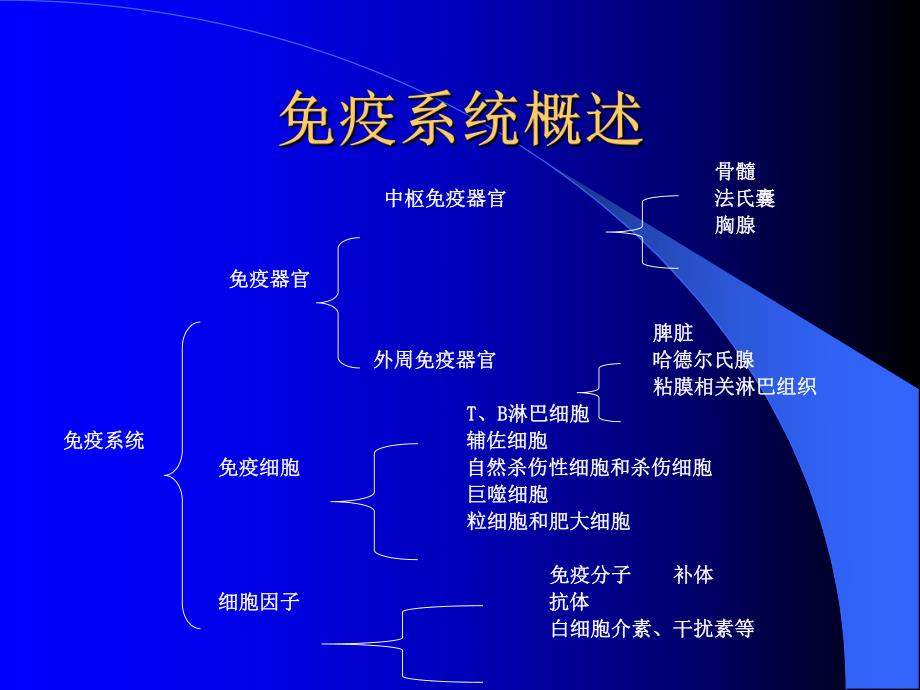 粘膜免疫.ppt_第2页