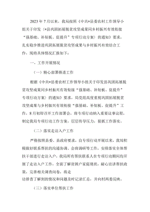 开展巩固拓展脱贫攻坚成果同乡村振兴有效衔接“强基础、补短板、促提升”专项行动工作总结.docx