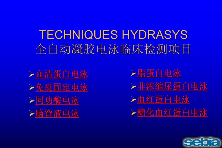电泳技术的临床应用.ppt_第2页