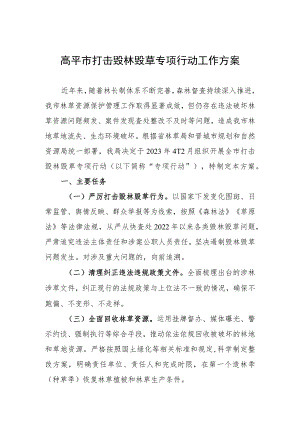 高平市打击毁林毁草专项行动工作方案.docx