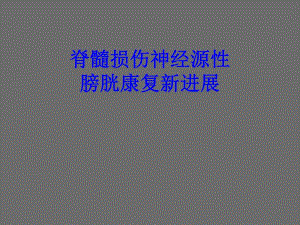 间歇导尿.ppt.ppt