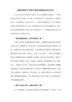 县组织部关于年轻干部队伍建设的发言范文.docx