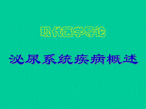 现代医学导论(泌尿系统).ppt