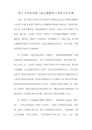 组工干部参加第二批主题教育心得体会发言稿.docx