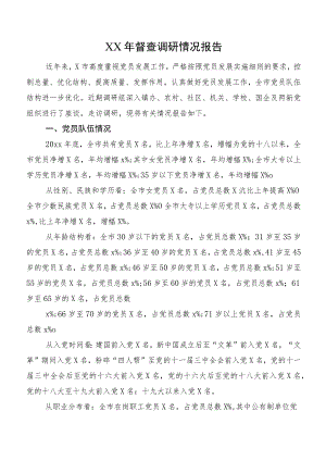 XX年督查调研情况报告.docx