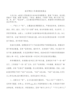 驻村帮扶工作典型经验做法.docx