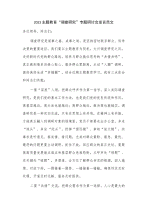 2023主题教育“调查研究”专题研讨会发言范文.docx