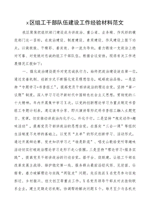 x区组工干部队伍建设工作经验材料总结汇报报告.docx