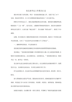 党支部书记工作要点汇总.docx
