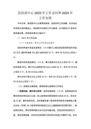 县招商中心2023年工作总结和2024年工作安排.docx