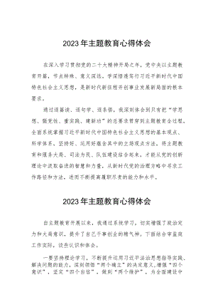 司法干部关于主题教育心得体会简短发言十二篇.docx