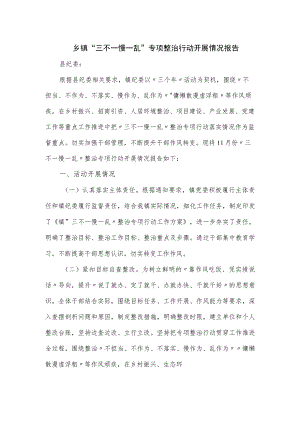 乡镇“三不一慢一乱”专项整治行动开展情况报告.docx