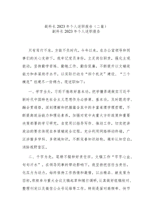 副科长2023年个人述职报告(二篇).docx
