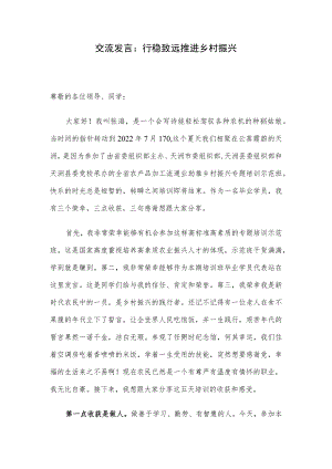 交流发言：行稳致远 推进乡村振兴.docx