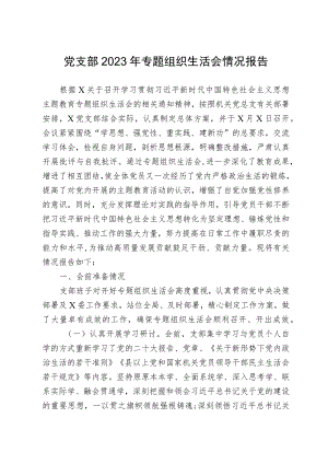 党支部2023年专题组织生活会情况报告.docx