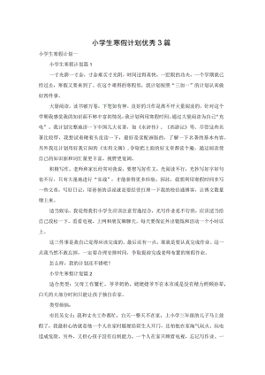 小学生寒假计划优秀3篇.docx