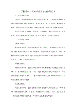 学校管制刀具专项整治活动总结范文.docx