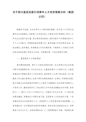关于探讨基层党建引领青年人才培养策略分析（集团公司）.docx