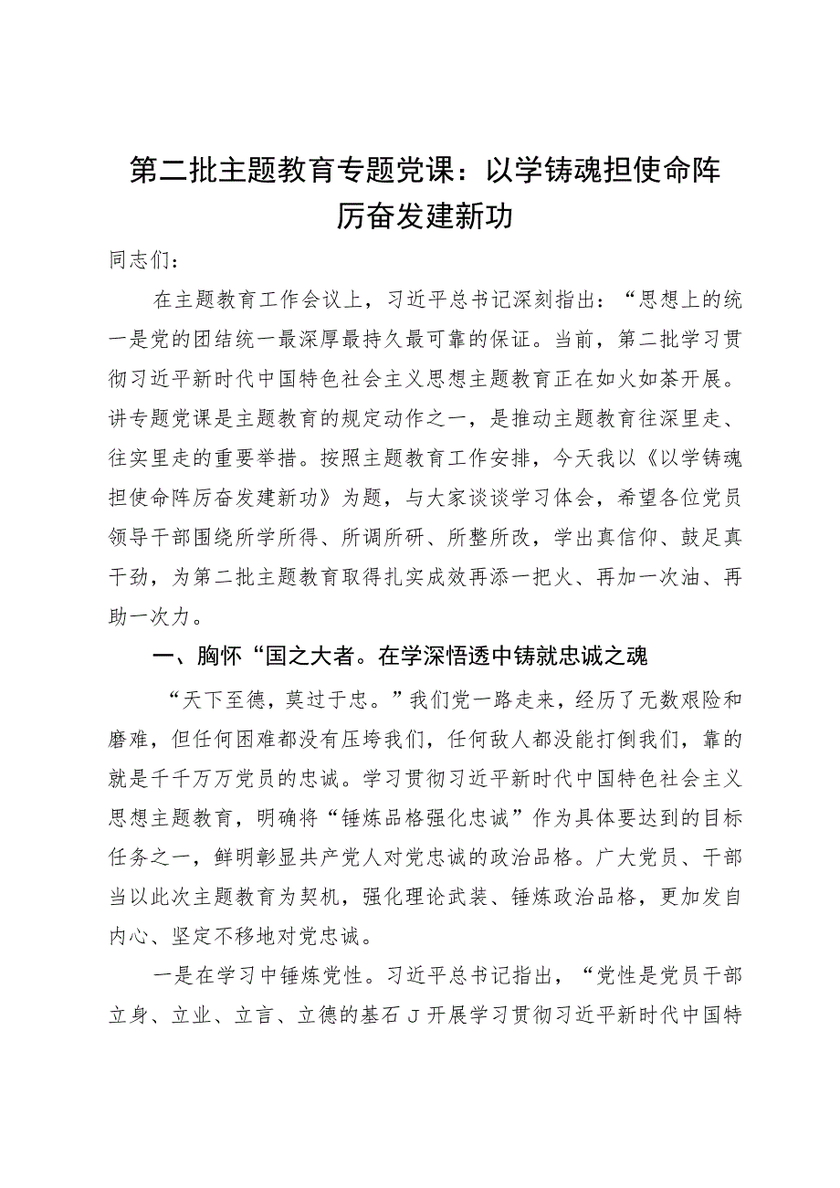 第二批主题教育专题党课：以学铸魂担使命踔厉奋发建新功.docx_第1页