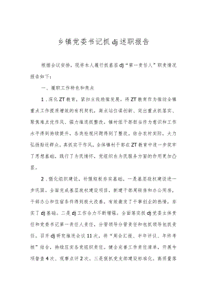 乡镇党委书记抓DJ述职报告.docx