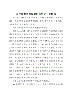 在主题教育生态文明典型案例剖析会上的发言.docx
