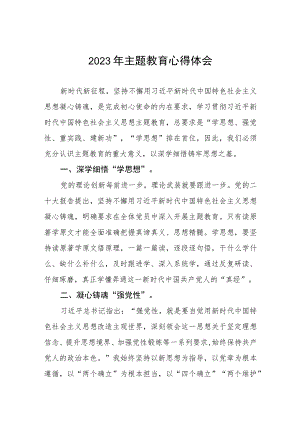 村党组织书记2023年主题教育心得体会五篇.docx