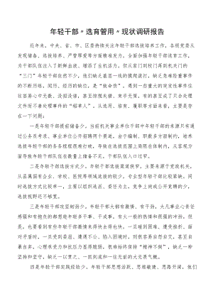 年轻干部“选育管用”现状调研报告.docx