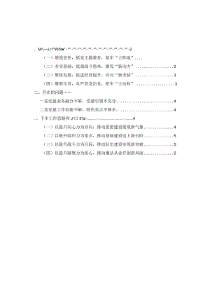 2023年度基层党支部书记抓党建工作述职报告范文九.docx