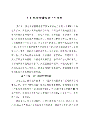 电力公司经验做法：打好县所党建提质“组合拳”.docx