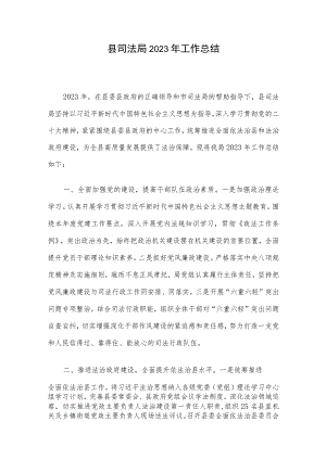 县司法局2023年工作总结.docx