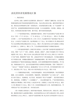 县民营经济发展情况汇报.docx
