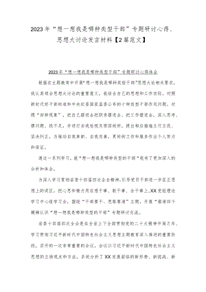2023年“想一想我是哪种类型干部”专题研讨心得、思想大讨论发言材料【2篇范文】.docx