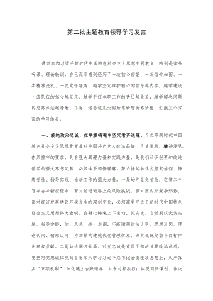 第二批主题教育领导学习发言.docx