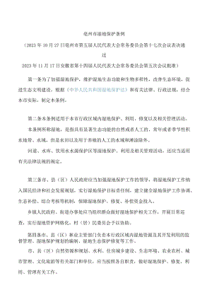 亳州市湿地保护条例.docx