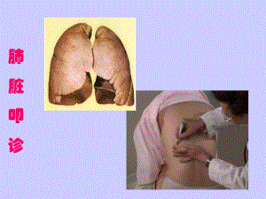 肺脏叩诊.ppt