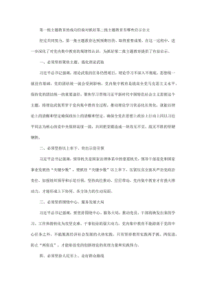 第一批主题教育的成功经验对抓好第二批主题教育有哪些启示全文.docx